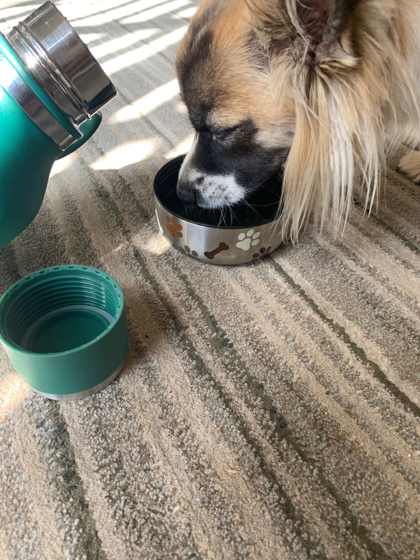 asobu Water Bottle by dktraveldogs.com