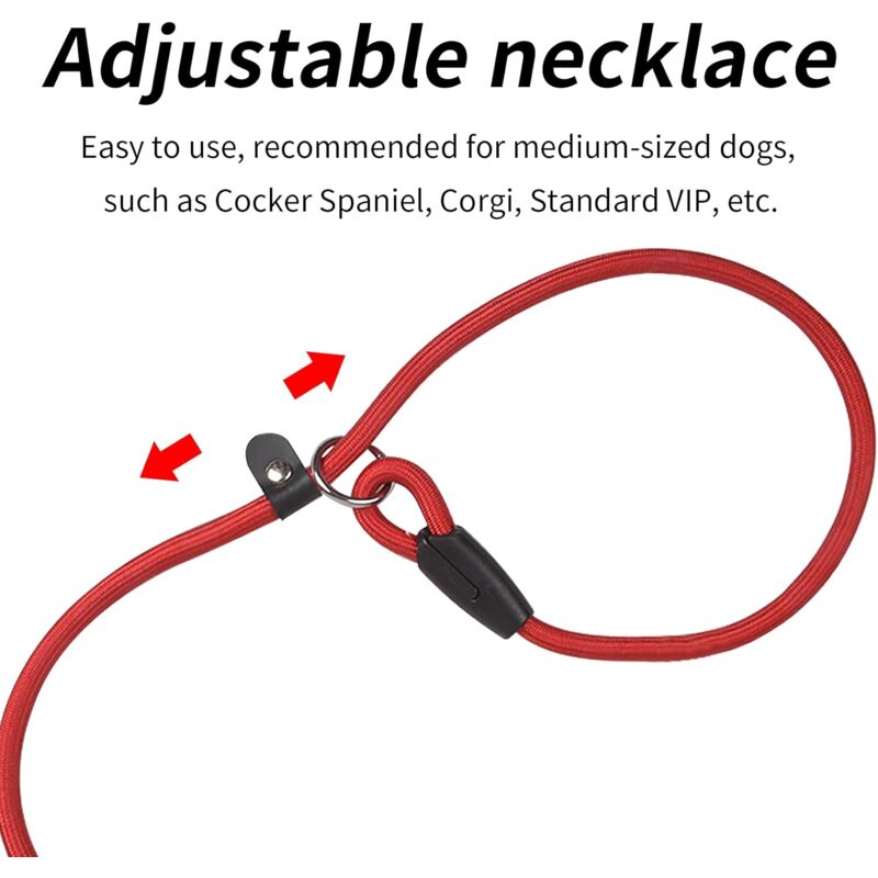 Training Leash by dktraveldogs.com