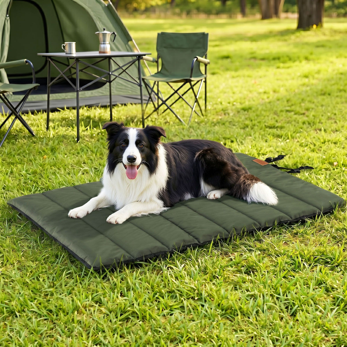 Large Outdoor Dog Mat by dktraveldogs.com