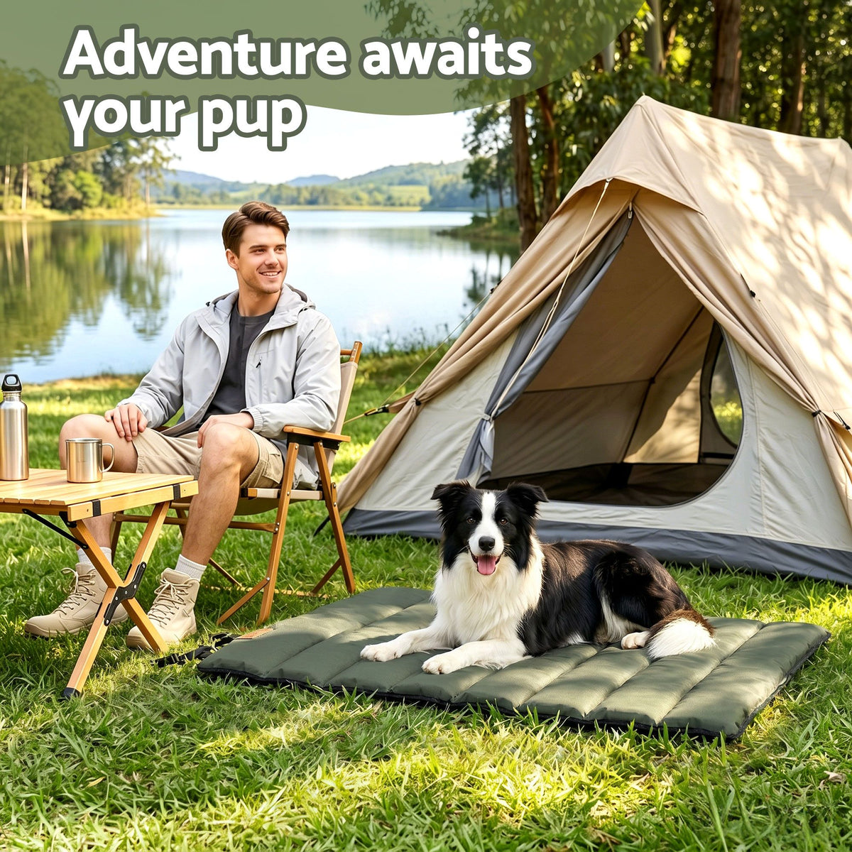 Large Outdoor Dog Mat by dktraveldogs.com