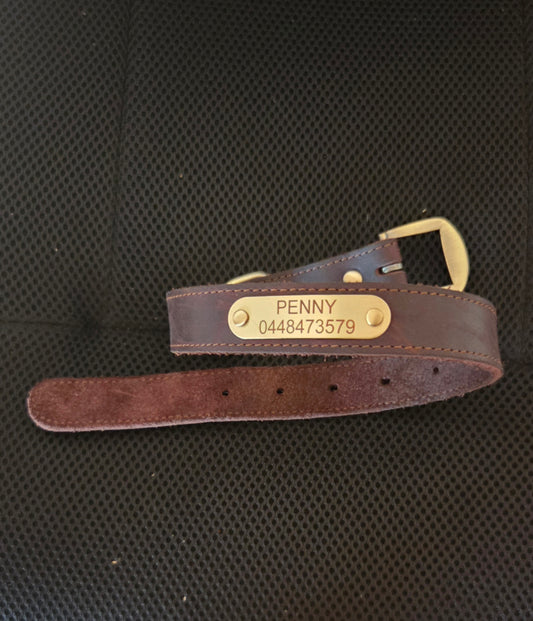 Premium Genuine Leather Dog Collar - Personalised Gold Nameplate for Small, Medium & Large Dogs