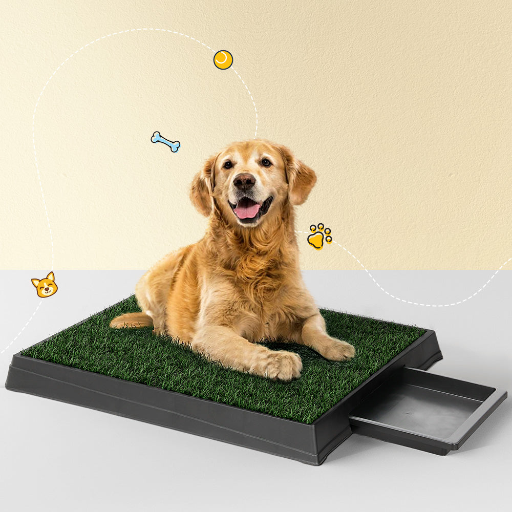 Training Pad by dktraveldogs.com