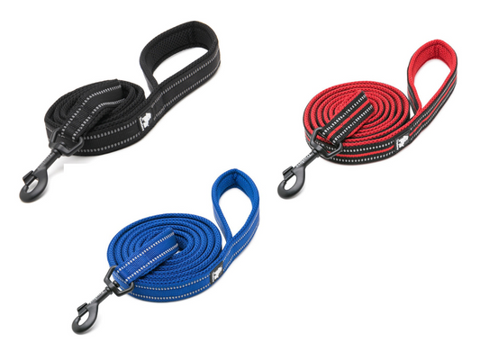 Reflective Pet Leash by dktraveldogs.com