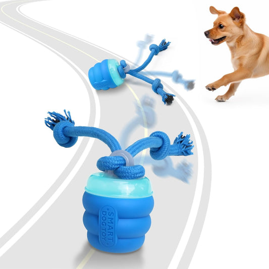 Dog Interactive Toy by dktraveldog.com