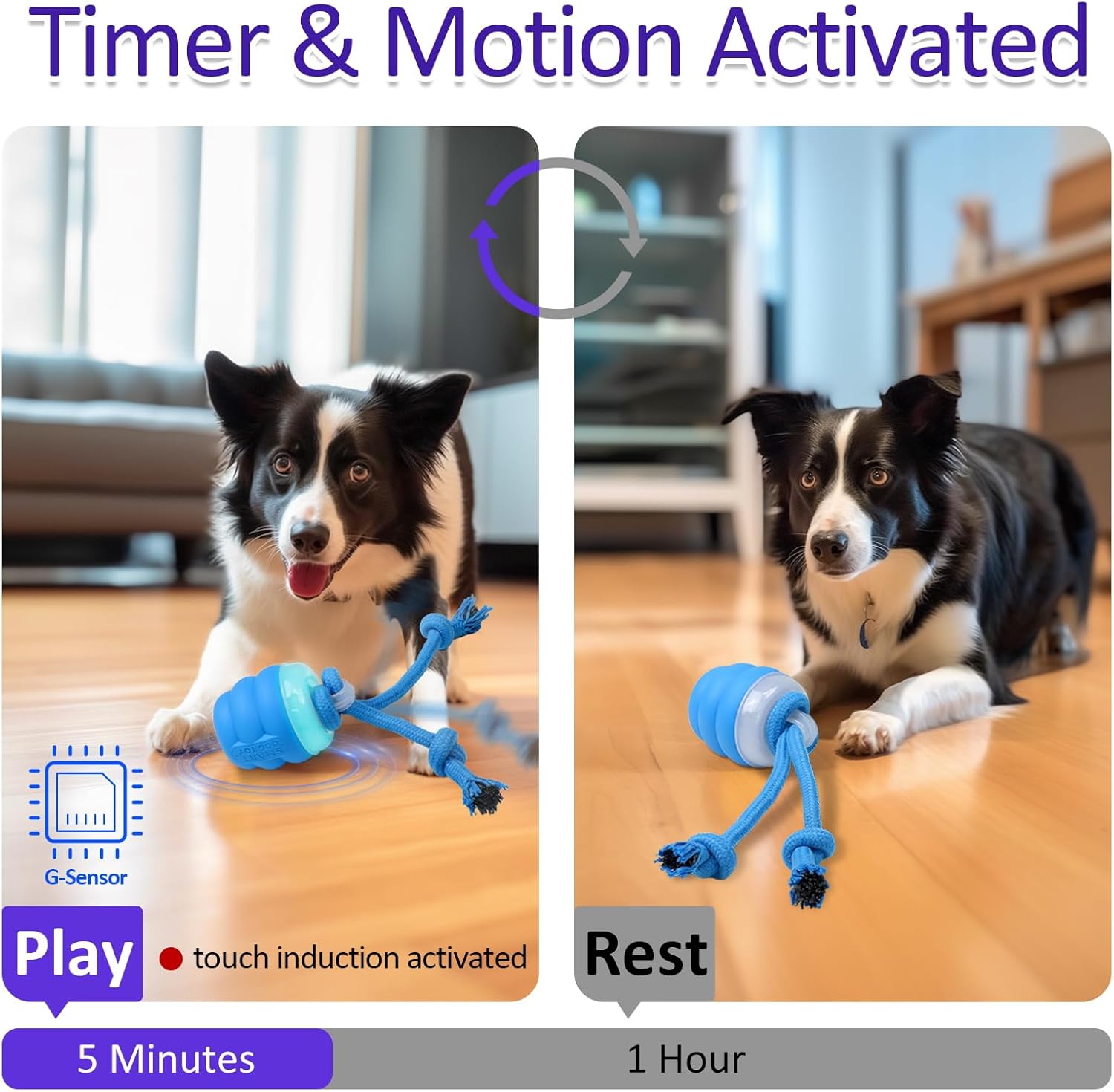 Dog Interactive Toy by dktraveldog.com