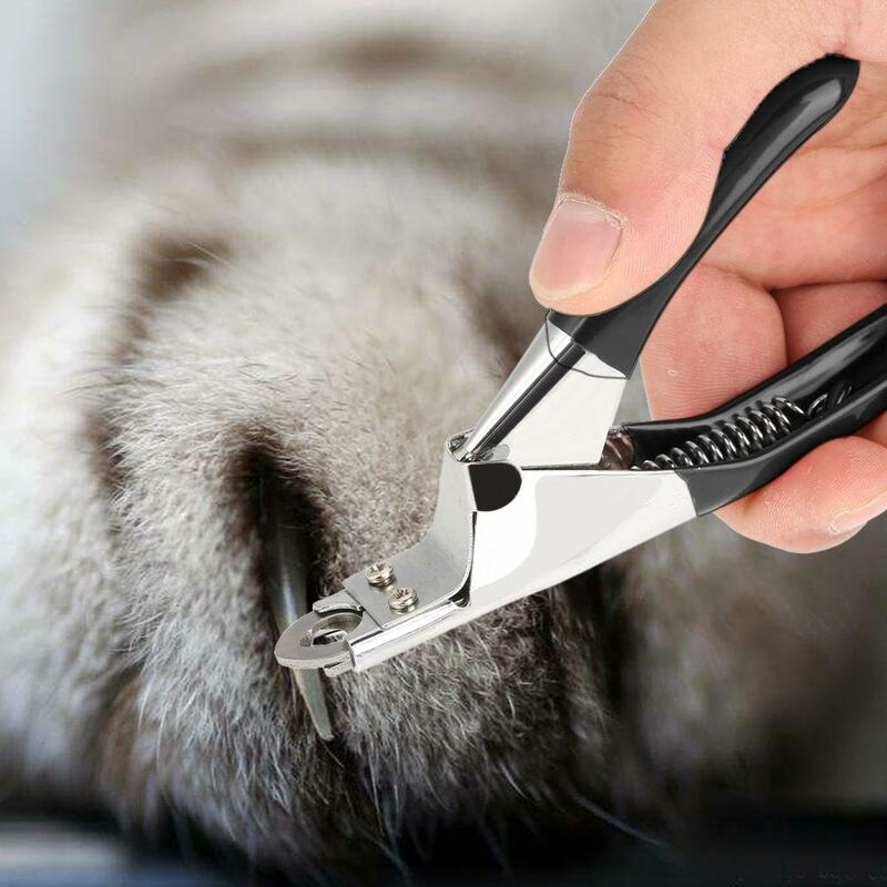 Nail Clippers by dktraveldogs.com