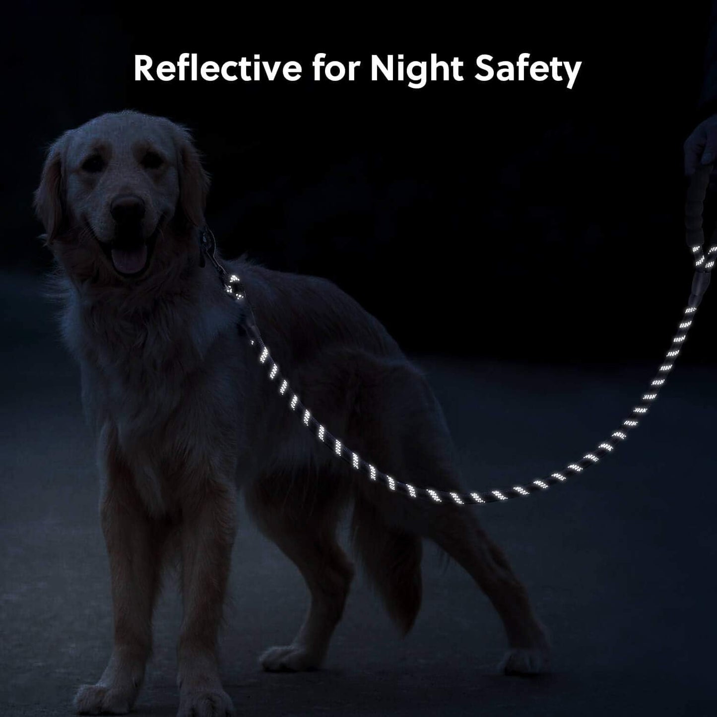 Black 1.5m Reflective Leash by dktraveldogs.com