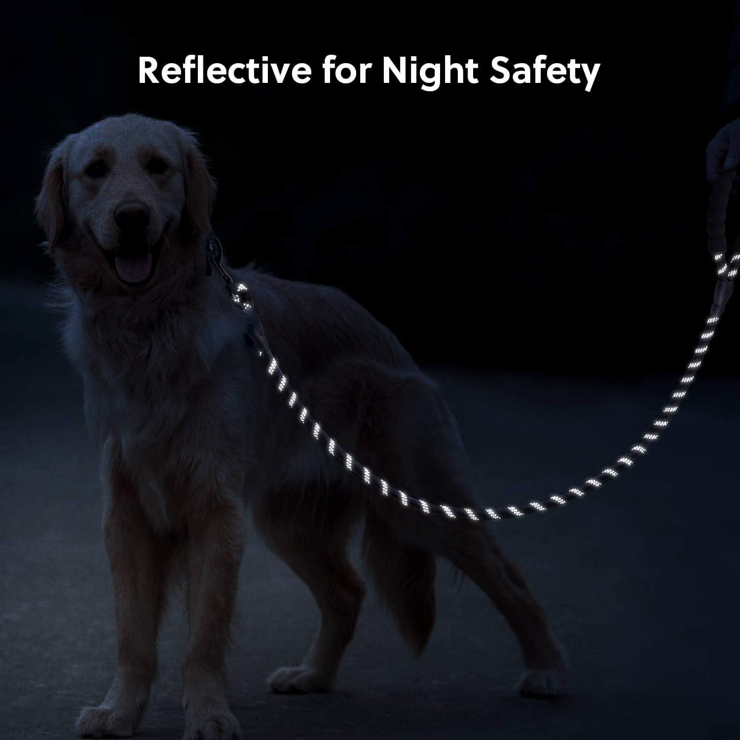 Black 1.5m Reflective Leash by dktraveldogs.com