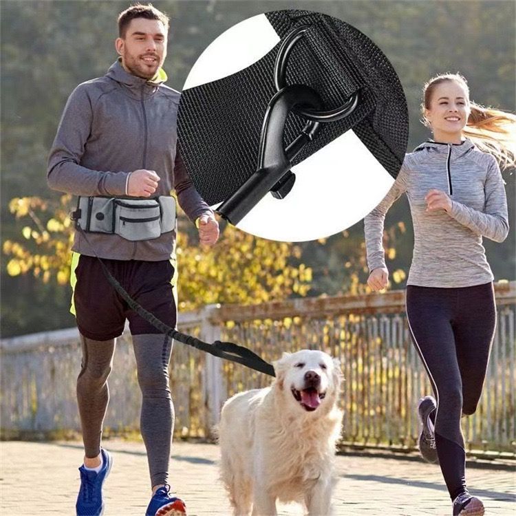 Dog Walking Waist Pack by dktraveldogs.com