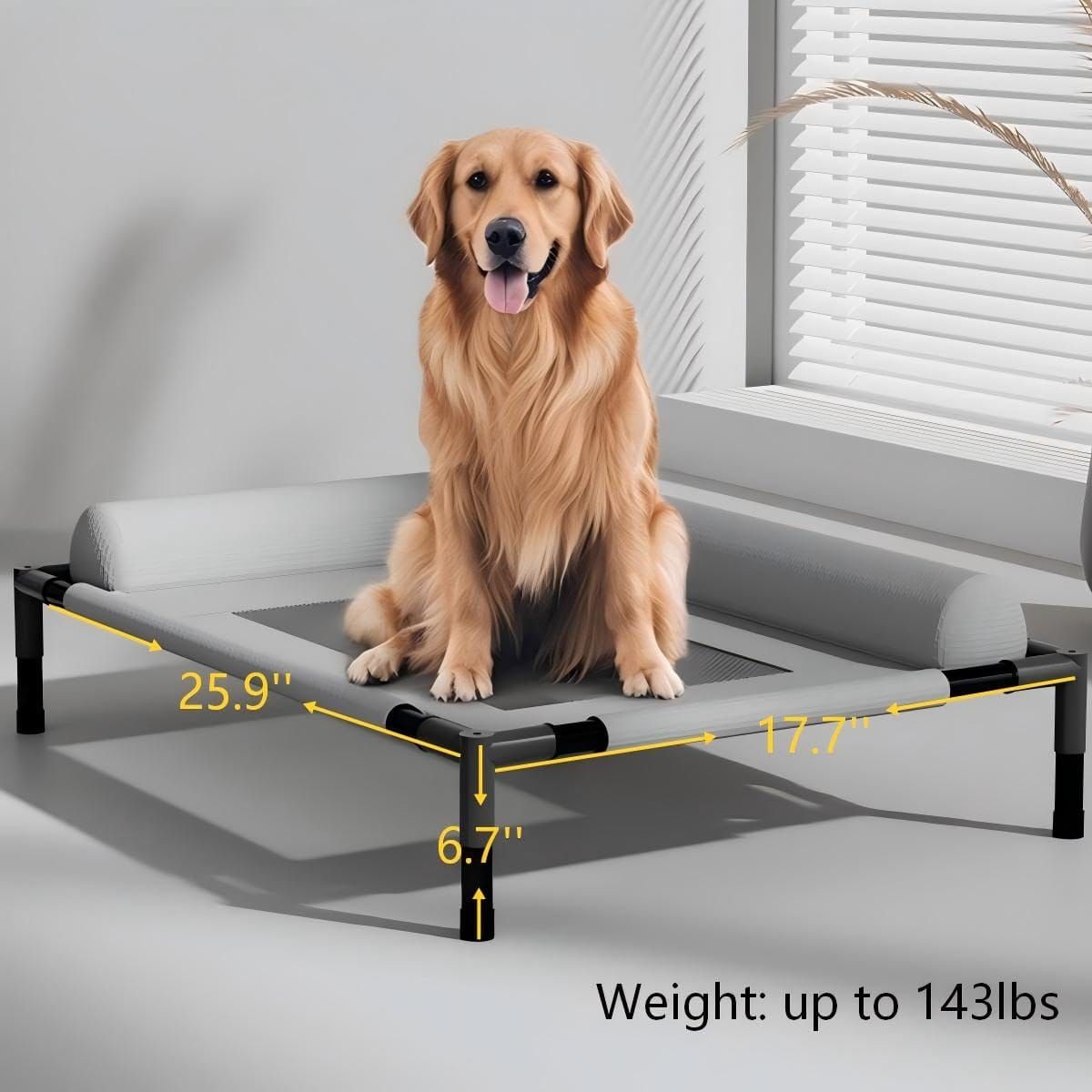 Raised Dog Bed by dktraveldogs.com