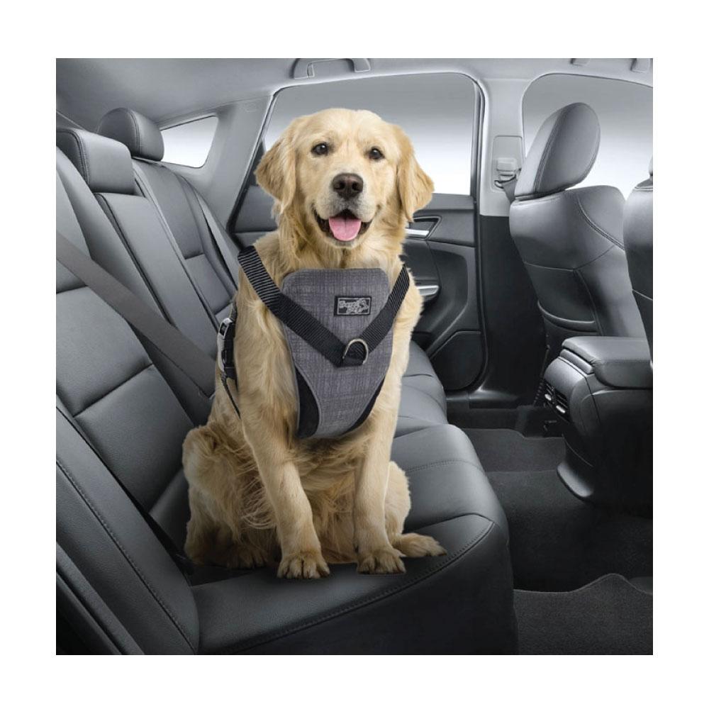 Dog Harness 2 in 1 Combo by dktraveldogs.com