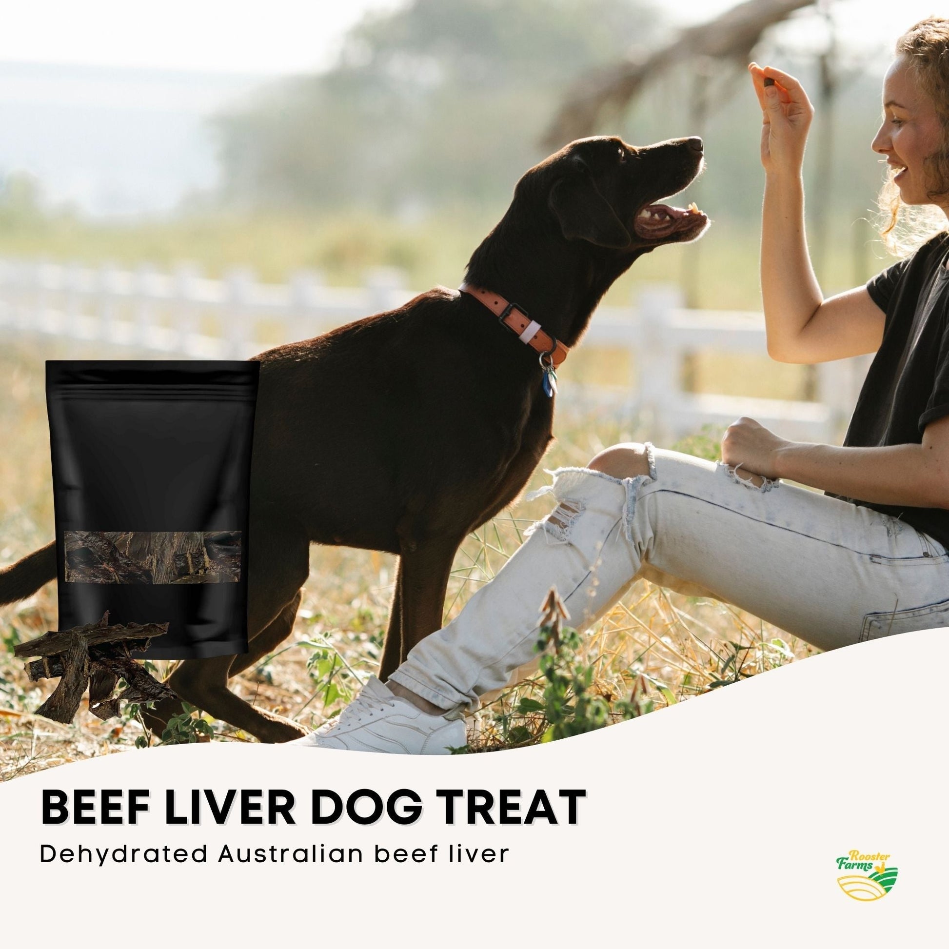Dog Treats - Liver 400g by dktraveldog.com