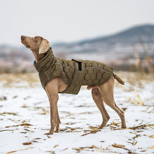 Dog Winter Coat - M by dktraveldogs.com