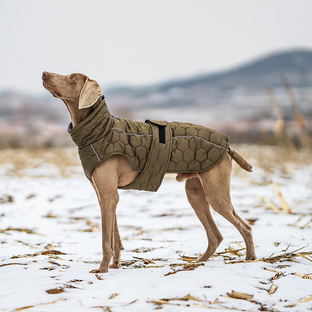 Dog Winter Coat - L by dktraveldogs.com