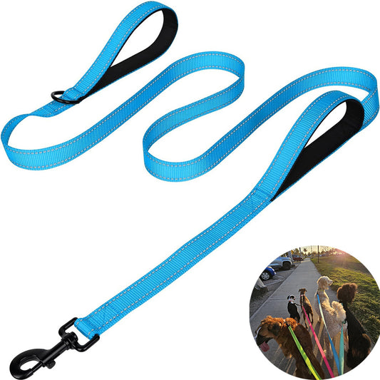 Reflective Dog Leash Blue by dktraveldogs.com