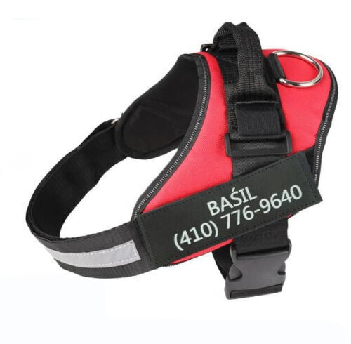 Personalised Dog Harness