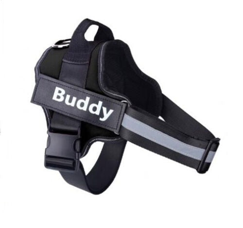 Personalised Dog Harness