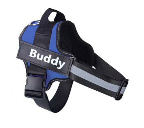 Personalised Dog Harness