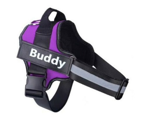 Personalised Dog Harness