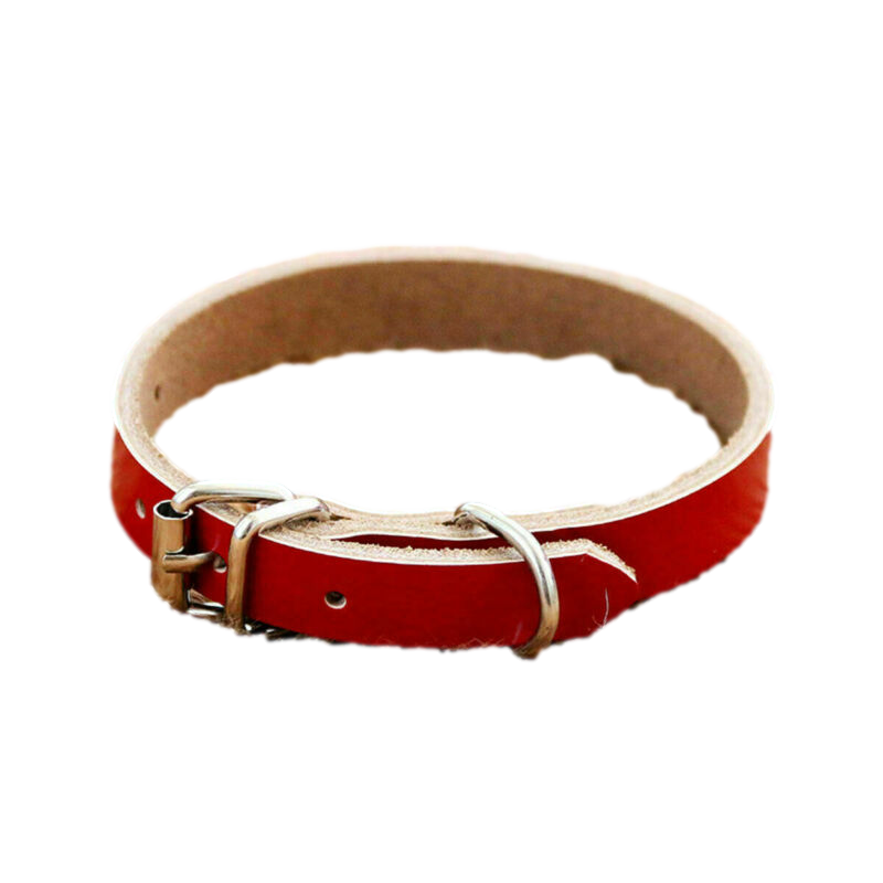 Red Leather Collar by dktraveldogs.com