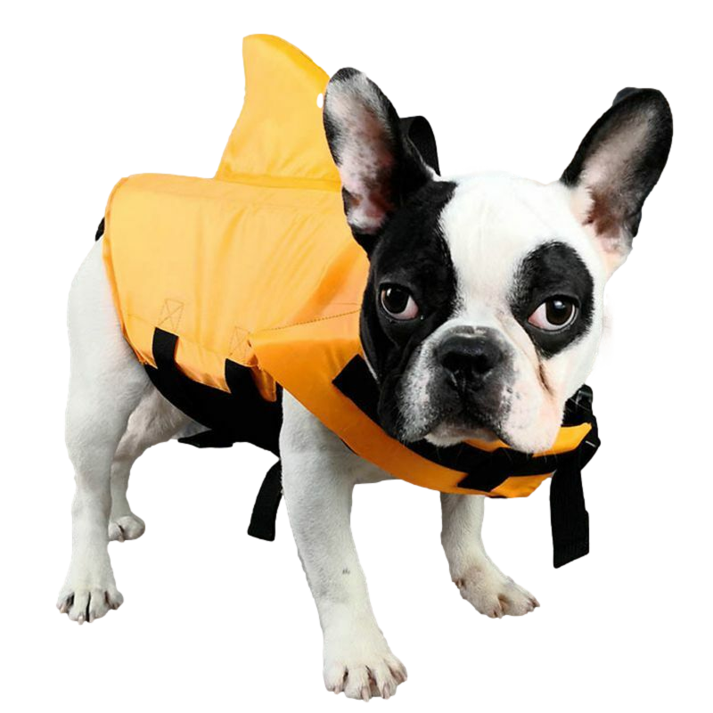 Safety Dog Vest by dktraveldogs.com