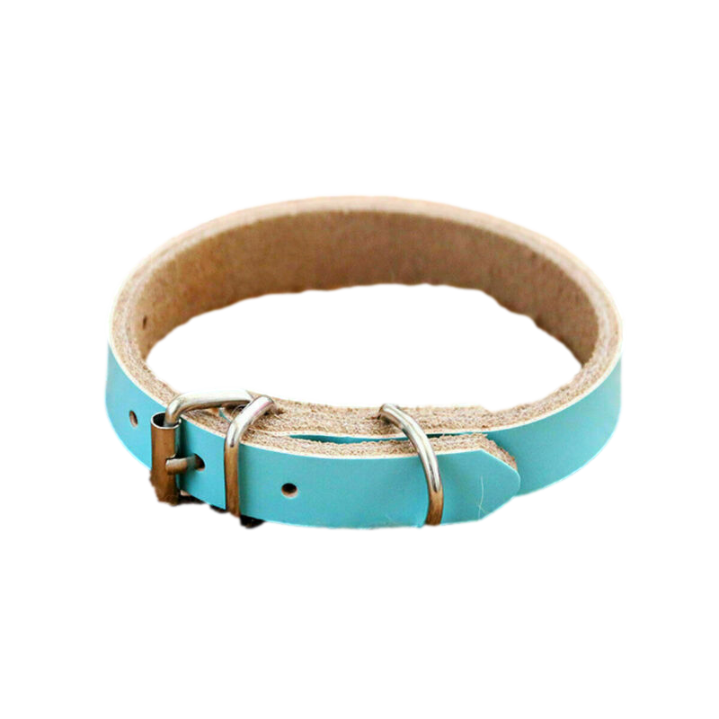 Baby Blue Leather Collar by dktraveldogs.com