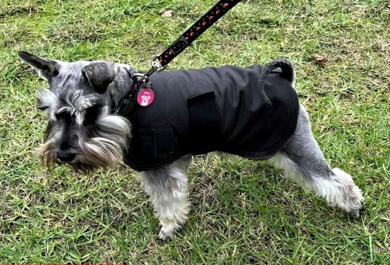 Oilskin Coat by dktraveldogs.com