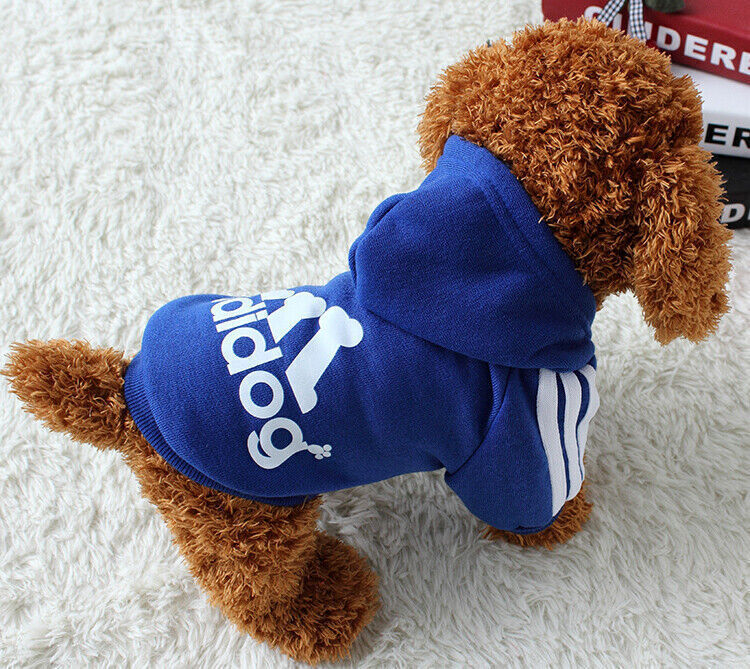 Blue Adidog Dog Hoodie by dktraveldogs.com